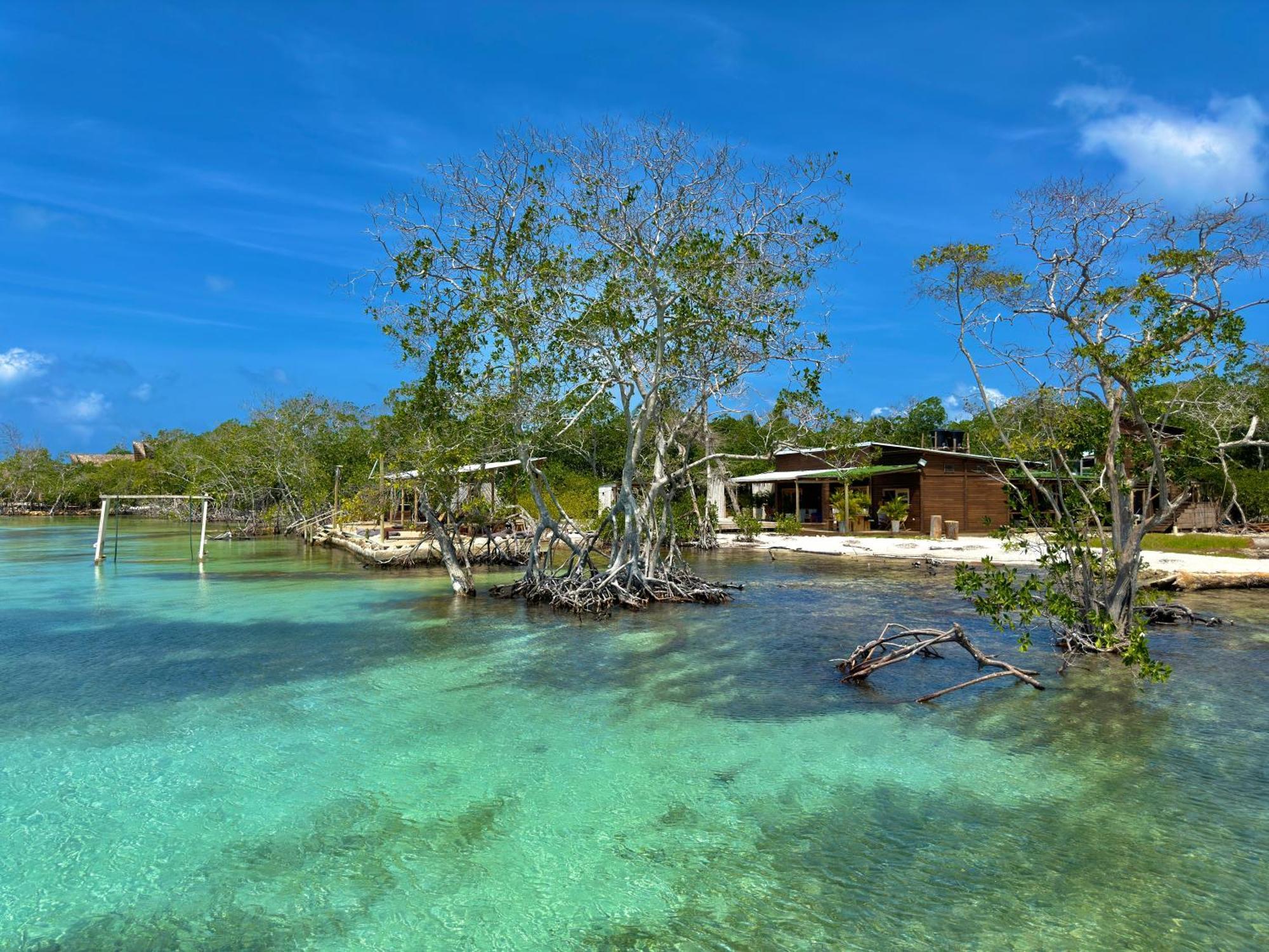 Medusa Hostel Isla Tintipan Tintipan Island 외부 사진