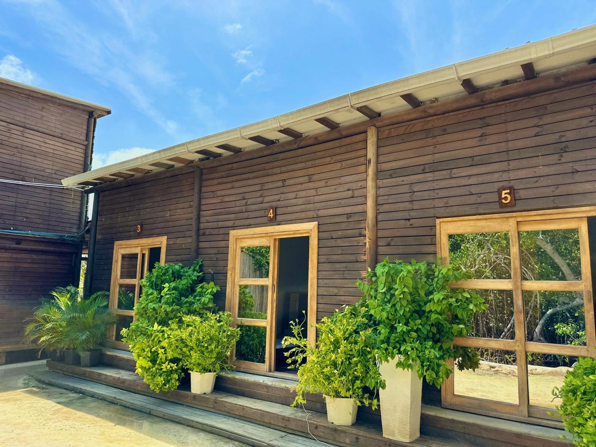 Medusa Hostel Isla Tintipan Tintipan Island 외부 사진