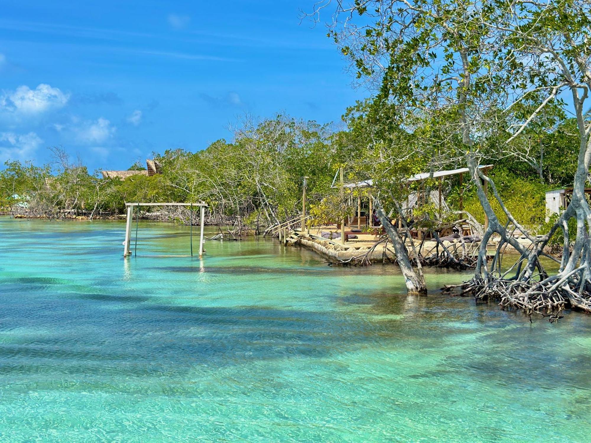Medusa Hostel Isla Tintipan Tintipan Island 외부 사진